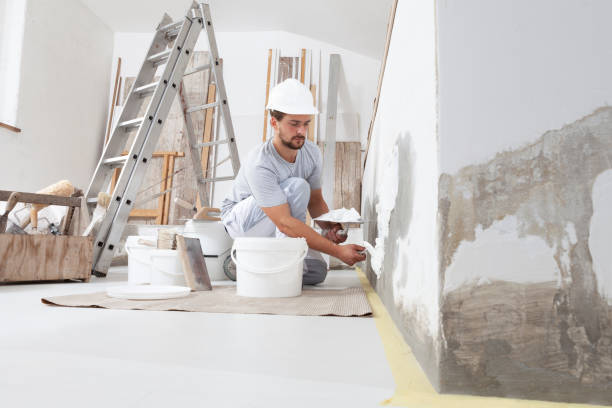 Best Mold Removal for HVAC Installations  in Garden City South, NY