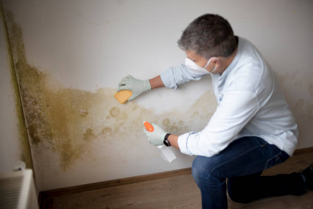 Asbestos and Lead Testing During Mold Inspection in Garden City South, NY