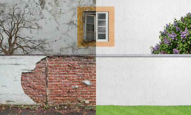 Garden City South, NY Mold Removal Company